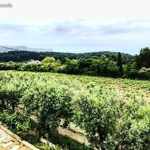Dans Les Vignes De Appartement Cassis